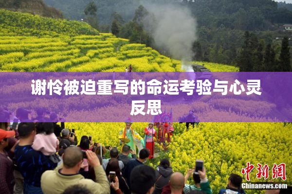 谢怜被迫重写的命运考验与心灵反思