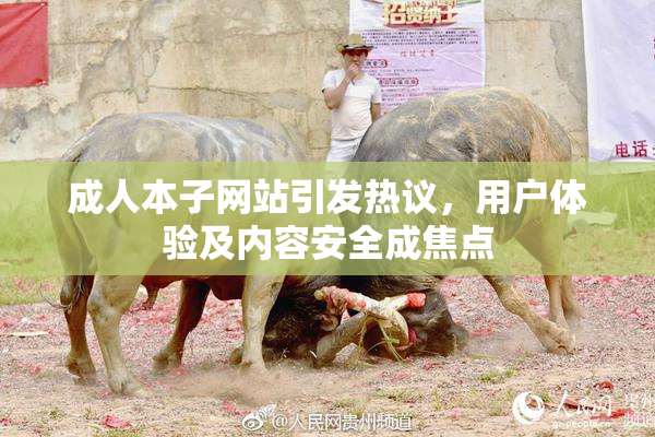 成人本子网站引发热议，用户体验及内容安全成焦点