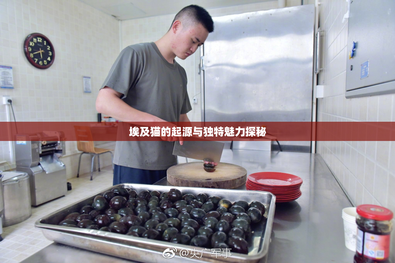 埃及猫的起源与独特魅力探秘