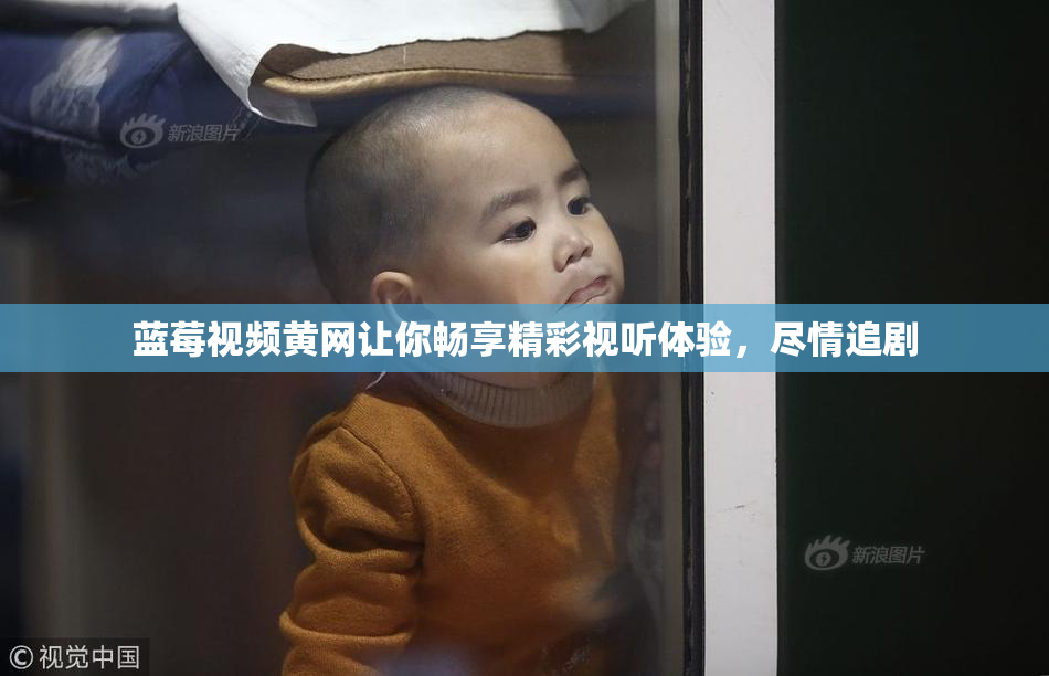 蓝莓视频黄网让你畅享精彩视听体验，尽情追剧