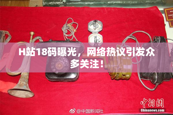 H站18码曝光，网络热议引发众多关注！