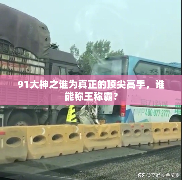 91大神之谁为真正的顶尖高手，谁能称王称霸？