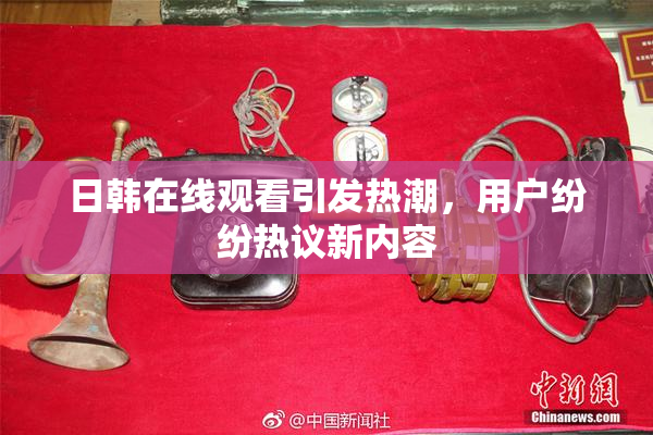 日韩在线观看引发热潮，用户纷纷热议新内容