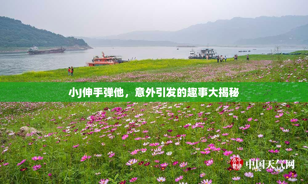 小J伸手弹他，意外引发的趣事大揭秘
