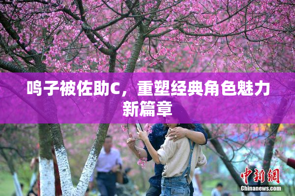 鸣子被佐助C，重塑经典角色魅力新篇章