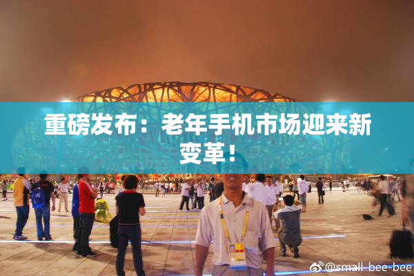 重磅发布：老年手机市场迎来新变革！