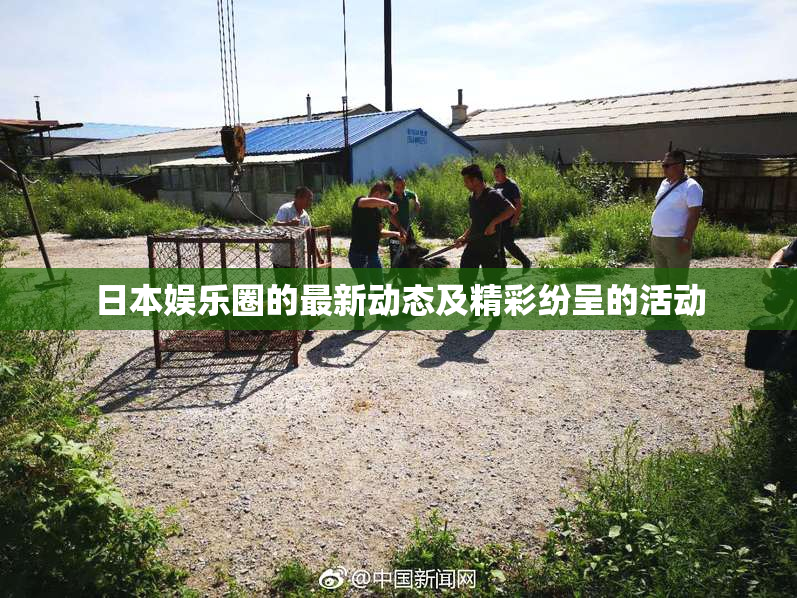日本娱乐圈的最新动态及精彩纷呈的活动