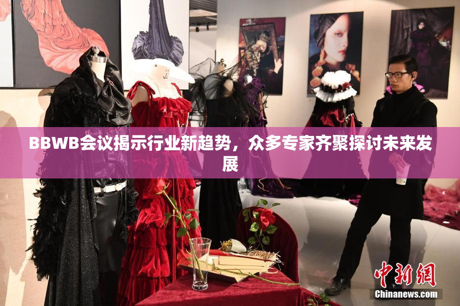 BBWB会议揭示行业新趋势，众多专家齐聚探讨未来发展
