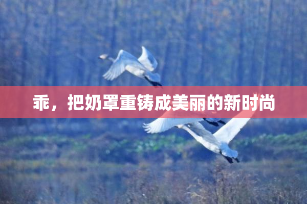 乖，把奶罩重铸成美丽的新时尚