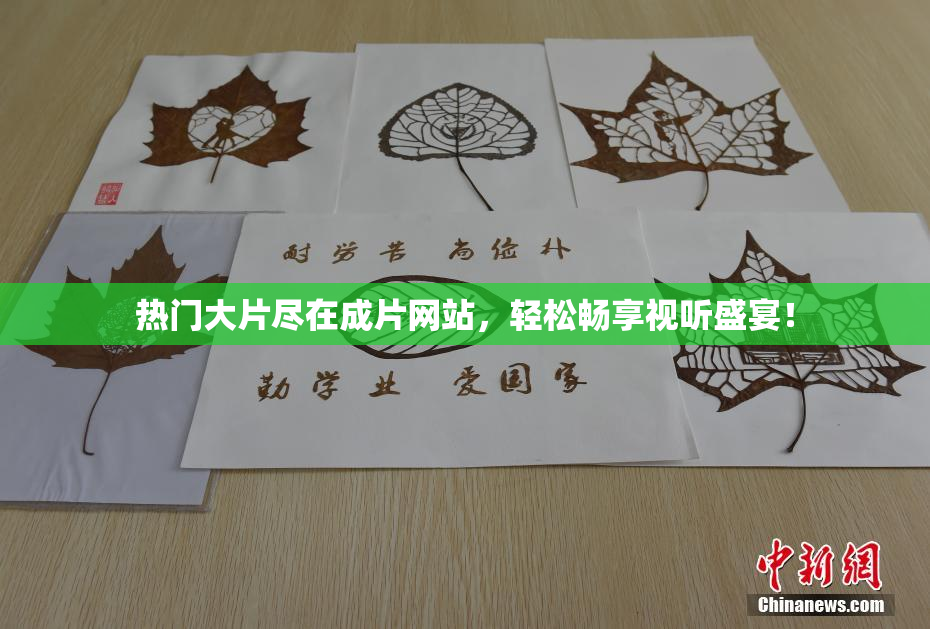 热门大片尽在成片网站，轻松畅享视听盛宴！