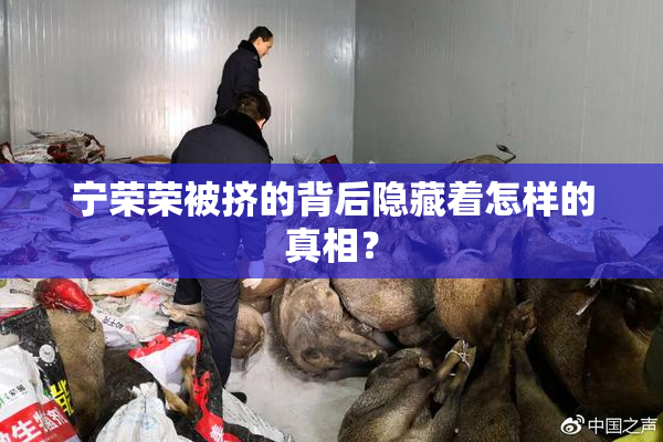 宁荣荣被挤的背后隐藏着怎样的真相？