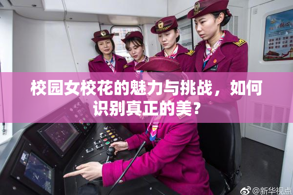 校园女校花的魅力与挑战，如何识别真正的美？