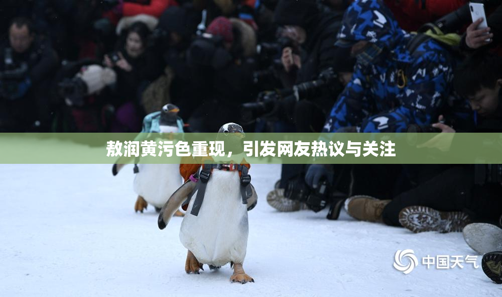 敖润黄污色重现，引发网友热议与关注