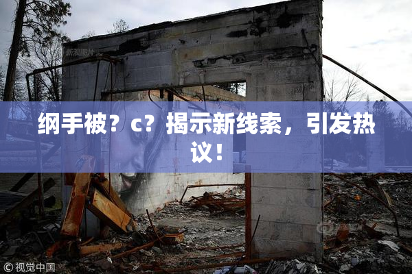 纲手被？c？揭示新线索，引发热议！
