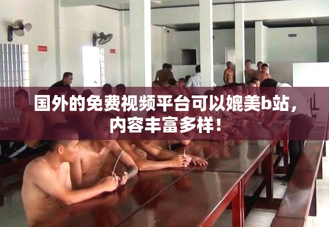 国外的免费视频平台可以媲美b站，内容丰富多样！