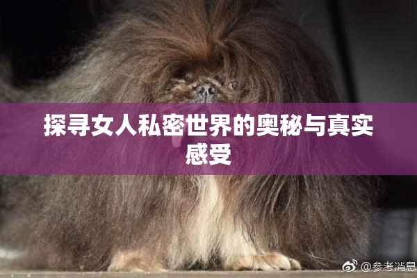 探寻女人私密世界的奥秘与真实感受