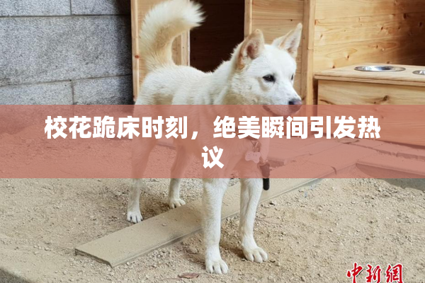 校花跪床时刻，绝美瞬间引发热议