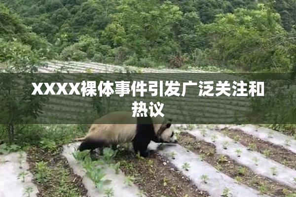 XXXX裸体事件引发广泛关注和热议