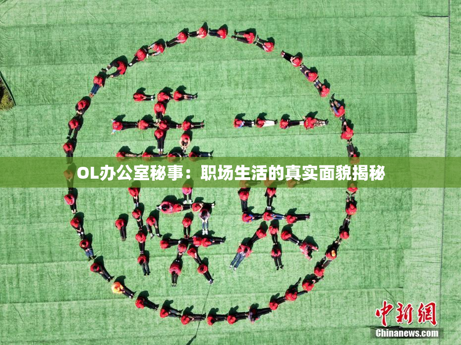 OL办公室秘事：职场生活的真实面貌揭秘