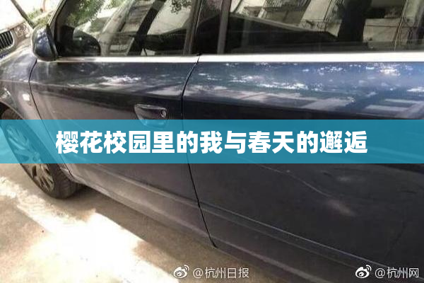 樱花校园里的我与春天的邂逅
