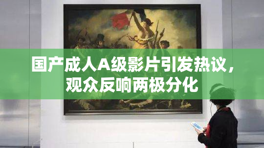 国产成人A级影片引发热议，观众反响两极分化