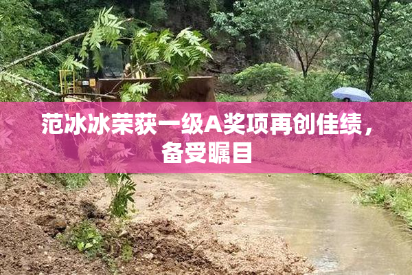 范冰冰荣获一级A奖项再创佳绩，备受瞩目