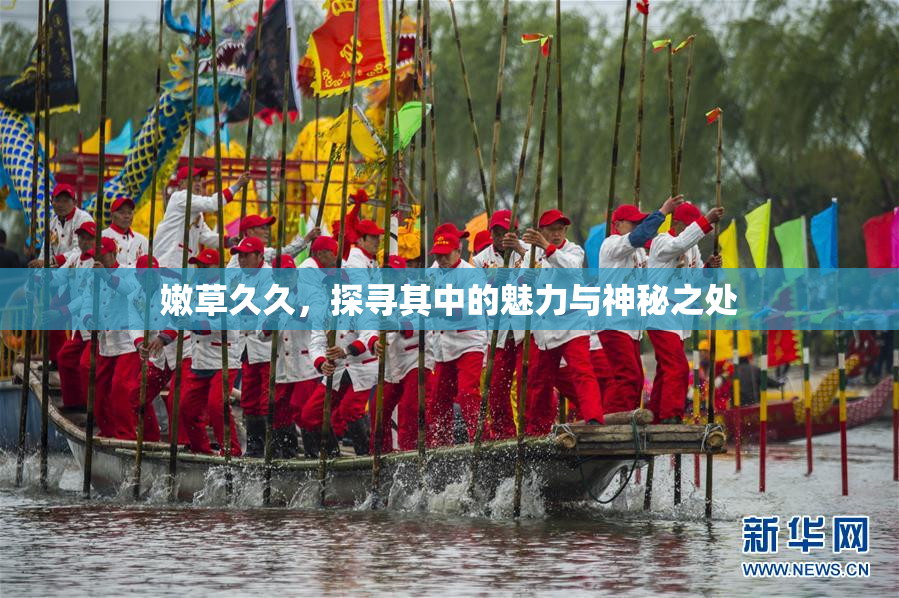 嫩草久久，探寻其中的魅力与神秘之处