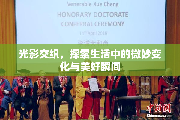 光影交织，探索生活中的微妙变化与美好瞬间