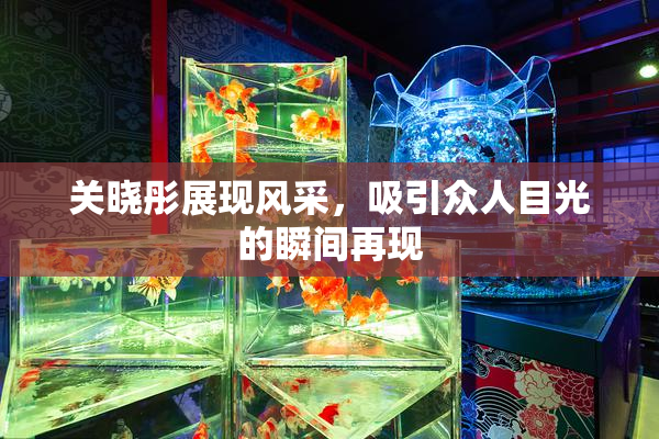 关晓彤展现风采，吸引众人目光的瞬间再现