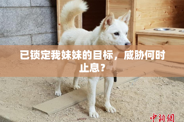 已锁定我妹妹的目标，威胁何时止息？