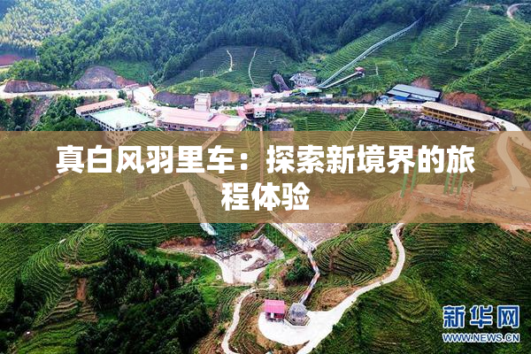 真白风羽里车：探索新境界的旅程体验