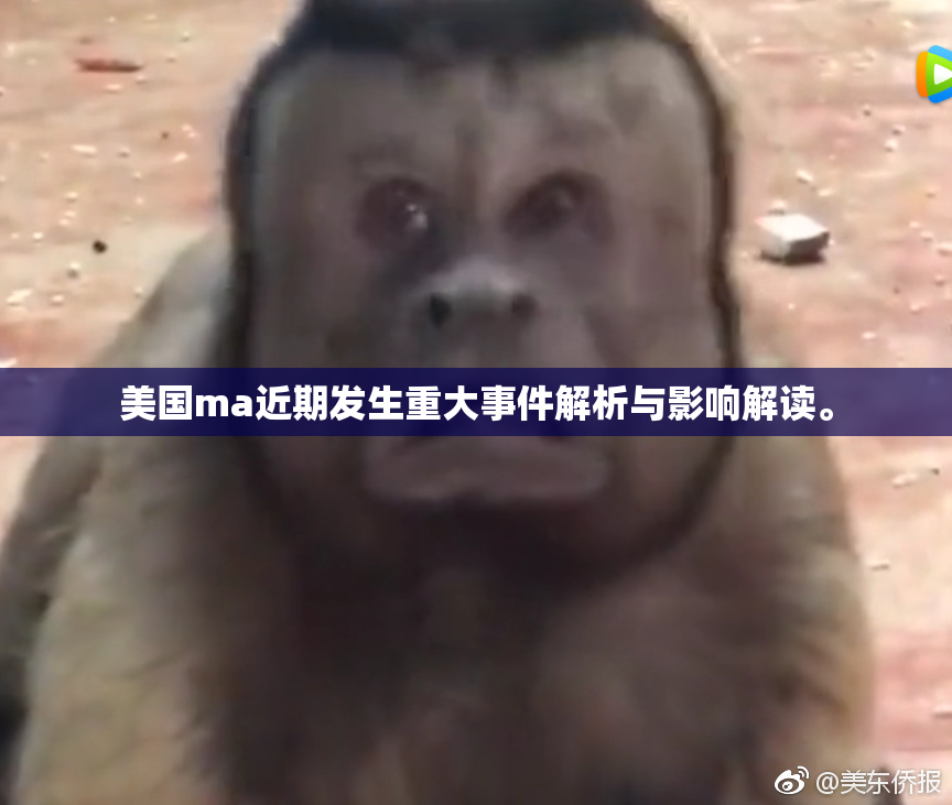 美国ma近期发生重大事件解析与影响解读。