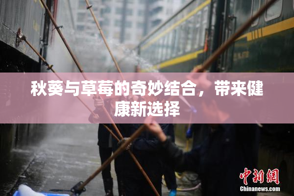 秋葵与草莓的奇妙结合，带来健康新选择