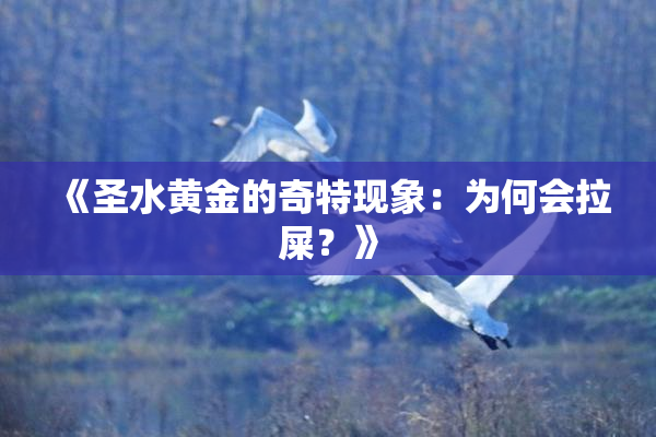 《圣水黄金的奇特现象：为何会拉屎？》