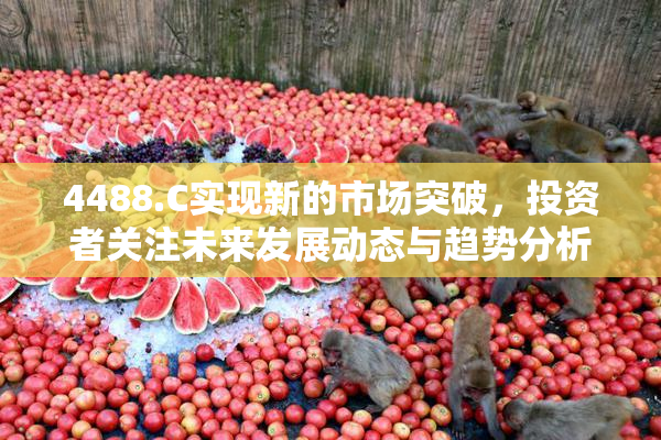 4488.C实现新的市场突破，投资者关注未来发展动态与趋势分析