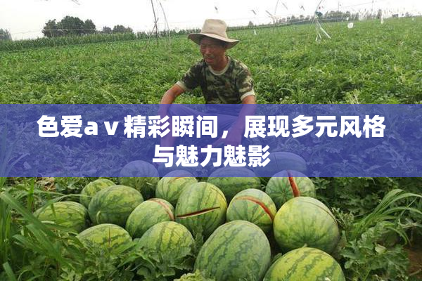 色爱aⅴ精彩瞬间，展现多元风格与魅力魅影