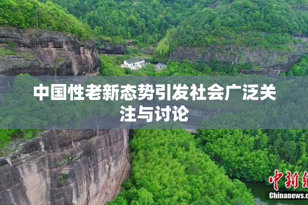 中国性老新态势引发社会广泛关注与讨论