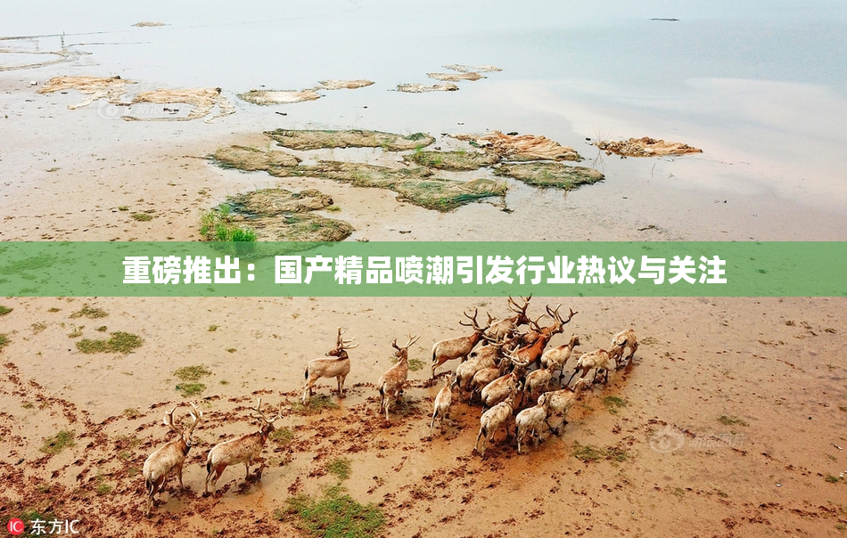 重磅推出：国产精品喷潮引发行业热议与关注