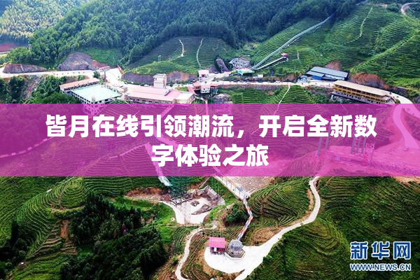 皆月在线引领潮流，开启全新数字体验之旅