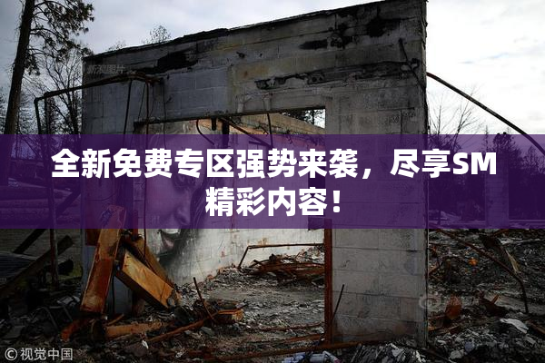 全新免费专区强势来袭，尽享SM精彩内容！