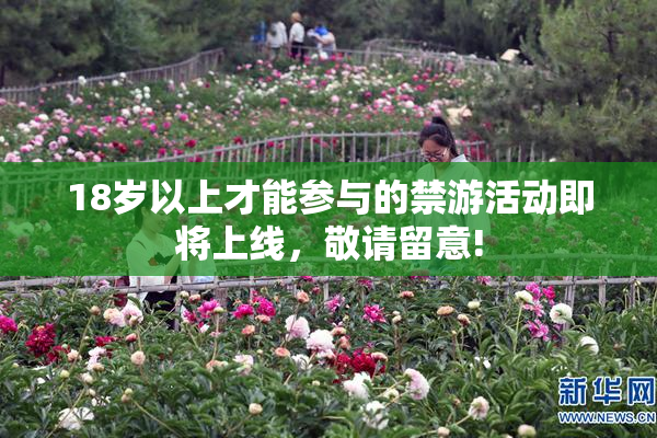18岁以上才能参与的禁游活动即将上线，敬请留意!