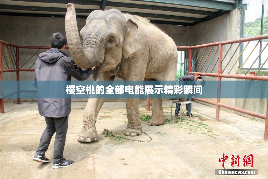 樱空桃的全部电能展示精彩瞬间