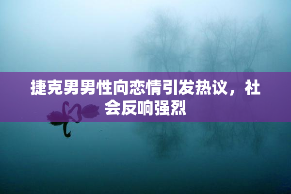 捷克男男性向恋情引发热议，社会反响强烈