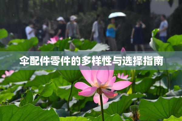 伞配件零件的多样性与选择指南
