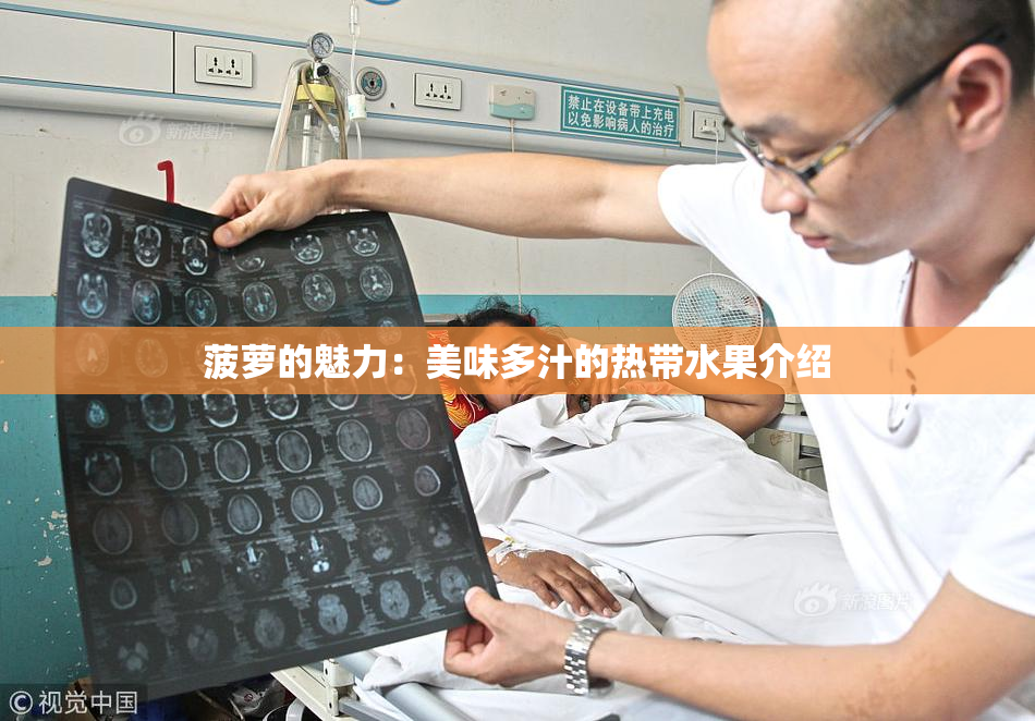 菠萝的魅力：美味多汁的热带水果介绍