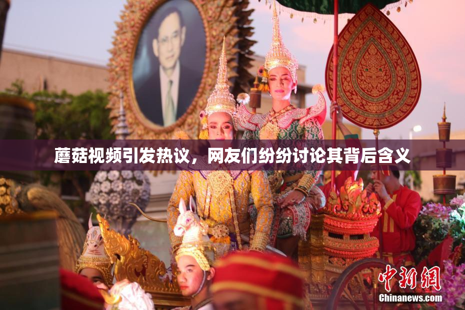 蘑菇视频引发热议，网友们纷纷讨论其背后含义
