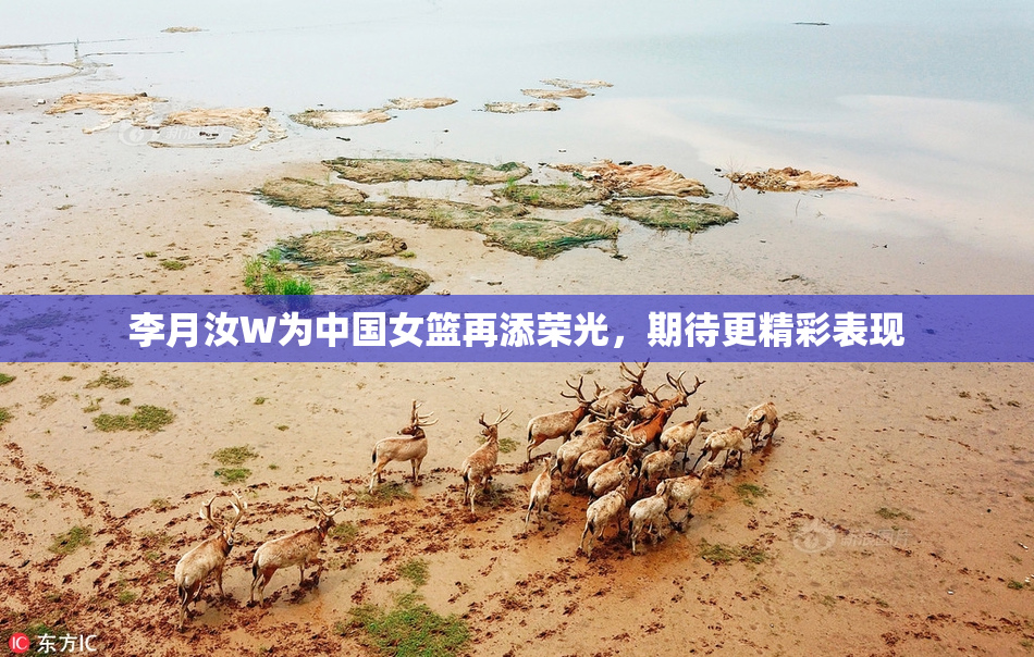 李月汝W为中国女篮再添荣光，期待更精彩表现