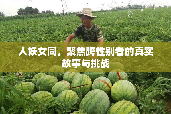 人妖女同，聚焦跨性别者的真实故事与挑战