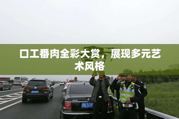 口工番肉全彩大赏，展现多元艺术风格