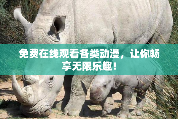 免费在线观看各类动漫，让你畅享无限乐趣！